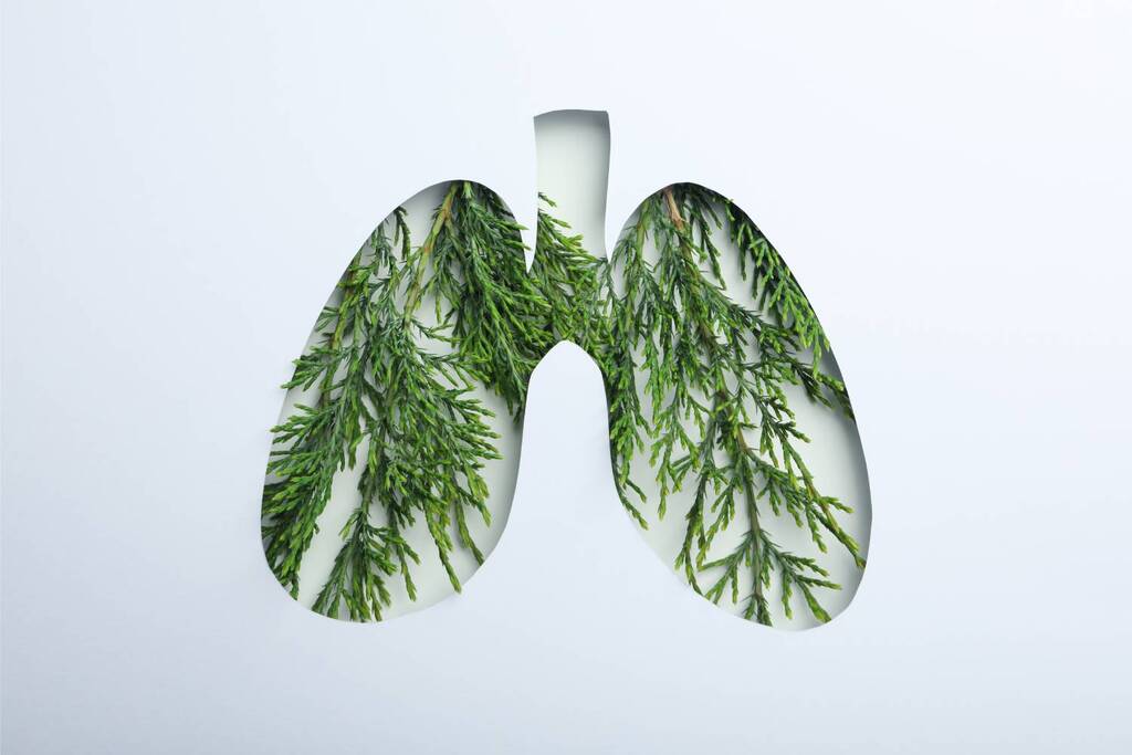 Tips for Maintaining Healthy Lungs