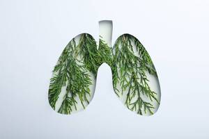 Tips for Maintaining Healthy Lungs